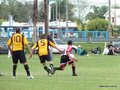 AFUCO9FA2013 058