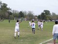 AFUCO9FA2013 036