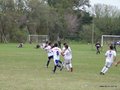 AFUCO9FA2013 037