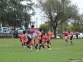 AFUCO9FA2013 018