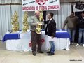 AFUCO_FIESTA_2013A 094