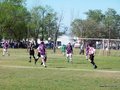 AFUCO10FC2013 100