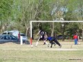AFUCO10FC2013 072