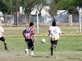 AFUCO10FC2013 017