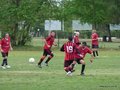 AFUCO11FC2013 058