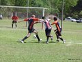 AFUCO12B-C2013 050