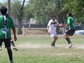 AFUCO12B-C2013 029