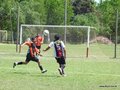 AFUCO12B-C2013 048