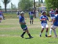 AFUCO12B-C2013 016