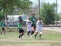 AFUCO12B-C2013 027
