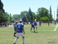 AFUCO12B-C2013 009