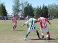 AFUCO12B-C2013 056