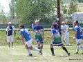 AFUCO12B-C2013 014