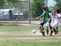 AFUCO12B-C2013 028