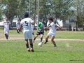 AFUCO12B-C2013 031