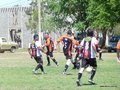 AFUCO12B-C2013 040