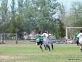 AFUCO12B-C2013 024
