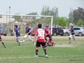 P1310306