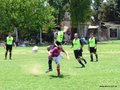 AFUCO14FC2013 004