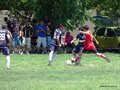 AFUCO14FC2013 029