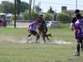 AFUCO14FC2013 030