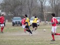 AFUCO4FC2013 038
