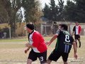 AFUCO5FC2013 010
