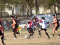 AFUCO6FC2013 100
