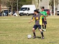 AFUCO6FC2013 069