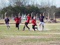 AFUCO6FC2013 003