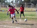 AFUCO6FC2013 004