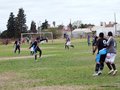 AFUCO7FC2013 009