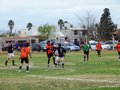 AFUCO7FC2013 049