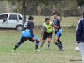 AFUCO8FC2013 015