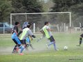 AFUCO8FC2013 010
