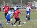 AFUCO9FC2013 090