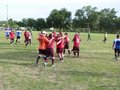AFUCO_FINAL_C2013 315