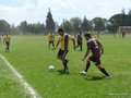 AFUCO_FINAL_C2013 031