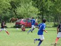 AFUCO_FINAL_C2013 037