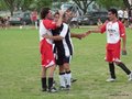 AFUCO_FINAL_C2013 229