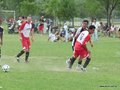AFUCO_FINAL_C2013 216