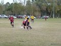 P1510788