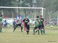 P1520386