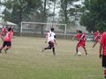 P1520382
