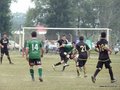 P1520390