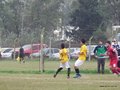 P1520412