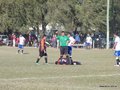 P1520627