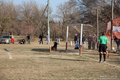 IMG_1753