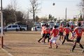 IMG_1743