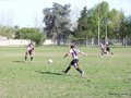 P1550638
